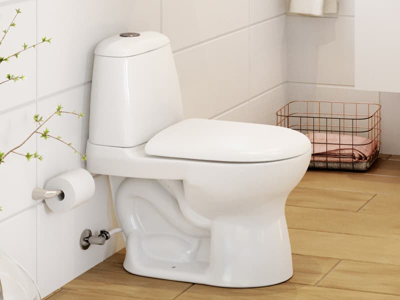 Sanitario Ecoclean Corona