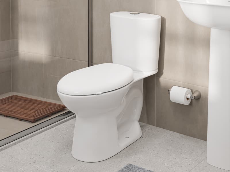 Sanitario ahorrador de agua