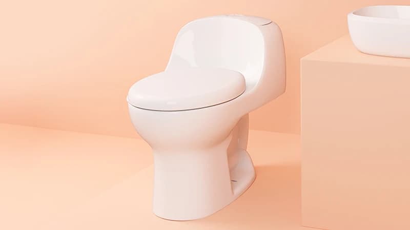 Como elegir el sanitario adecuado