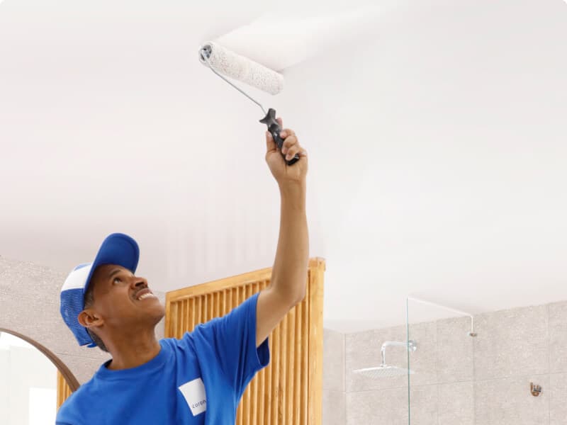 Pinturas para el techo Corona