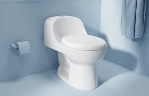 Sanitarios de una pieza