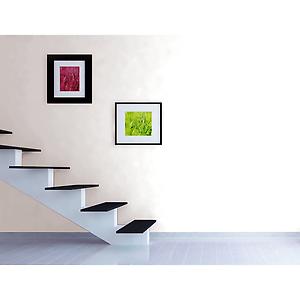 Ambiente Sala Pintura Baños y Cocinas Blanco Cuarto Galón